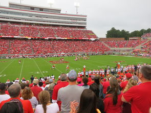 国家队举办青少年运动技能进阶训练营 提升国际竞争力，青少年运动技能考级平台